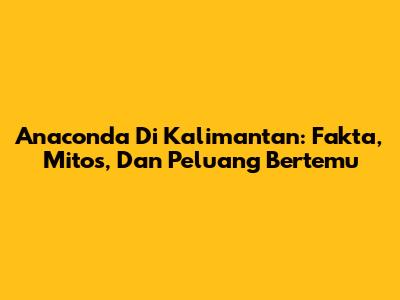Anaconda Di Kalimantan: Fakta, Mitos, Dan Peluang Bertemu