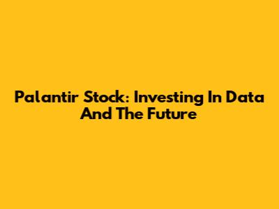 Palantir Stock: Investing In Data And The Future