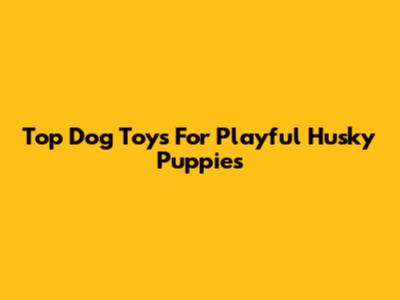 Top Dog Toys For Playful Husky Puppies